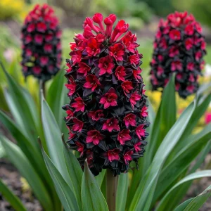 Гиацинт Джем Стоун купить по цене от 2099р. в интернет-магазине «Посадика» с доставкой почтой в в Зверевое и по всей России – [изображение №1].