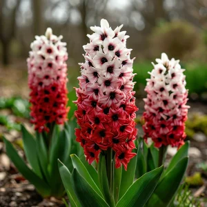 Гиацинт Скай Гарден купить по цене от 2099р. в интернет-магазине «Посадика» с доставкой почтой в в Зверевое и по всей России – [изображение №1].